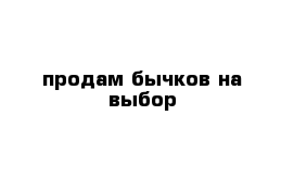 продам бычков на выбор